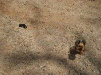IMG_3696 (Small).JPG