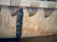 IMG_3577[1].JPG