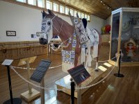 IMG_3574[1].JPG