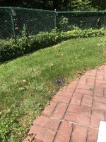 IMG_4130.jpeg