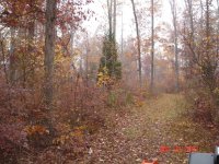 driveway 1.JPG