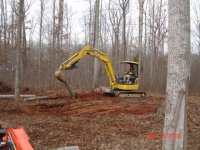 tree-stump clearing2.JPG