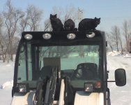 97692d1205165621-how-frequently-do-you-grease-toolcats.jpg