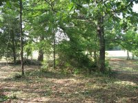 IMG_0106.JPG