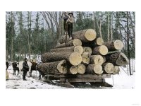 BUSN2A-00095~Loggers-with-an-Ordinary-Haul-on-an-Ox-Drawn-Sledge-Minnesota-c-1890-Posters.jpg