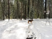 Plow Driveway2.JPG