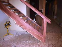 DSC04531 (Medium).JPG