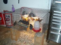 Picture 011.jpg