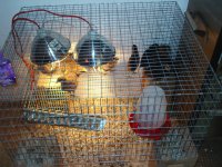 Picture 013.jpg