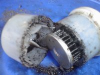 fuel filter.JPG