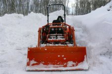 Jan 30 2008 snow storm 010-s.jpg