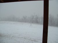 snow_Jan_31_2008_006.jpg