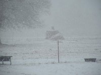 snow_Jan_31_2008_010.jpg