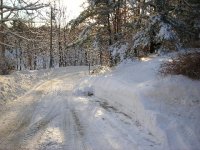road.jpg