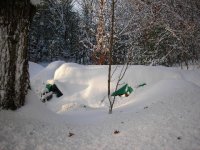 woodpile.jpg