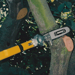 acs70_01_150.gif