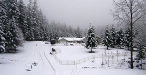 SnowDr0108-S.jpg