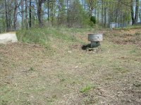spring clean up 2008 004.JPG
