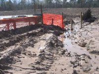 pipelinepond_12_22_07_growout.jpg