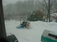 snow4.jpg
