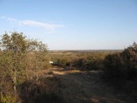 IMG_0114.jpg
