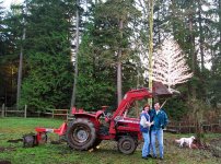 tractor tree- lo res.JPG