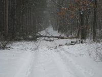 IMG_0049_1.jpg