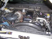 twin2.jpg