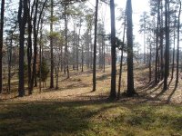 Land 04.JPG