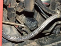 fuel shutoff.jpg
