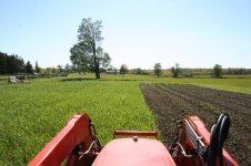 tilling-garden-2.jpg