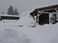 2008-02-04 003.jpg