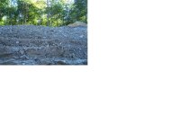 100_1876 small.jpg