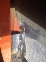 IMG_3885.jpeg