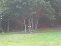 Img_3878.jpg
