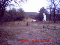 Turkeys-2.JPG