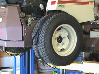 strapped down-back.JPG