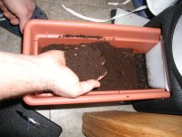 auto composter 3.JPG