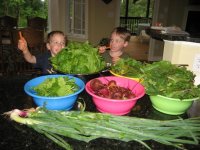 IMG_3322 (Small).JPG