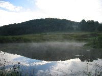 View1.jpg