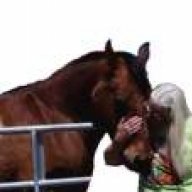 Old Gray Mare