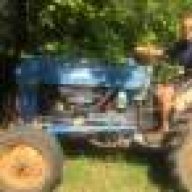 Homestead Blue