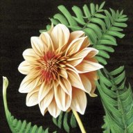 PowerFlower