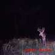 GA WTDeer