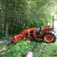 lynx451