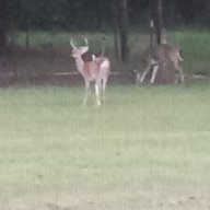 Crockett country