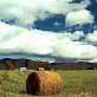 tractorcoy