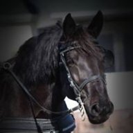 TheEquineFencer