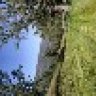 vallongoria4