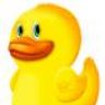 Yellow Duck